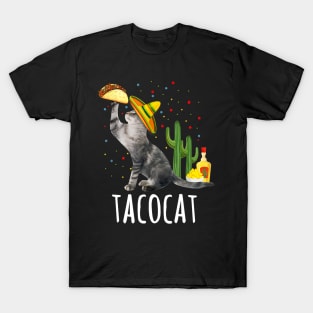 Tacocat Cinco De Mayo Taco Cat Sombrero Mexican Gift Womens T-Shirt